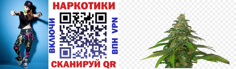Где купить наркотики Сыктывкар Гашиш  Бошки Шишки  Псилоцибиновые грибы  Альфа ПВП  Меф  COCAIN 