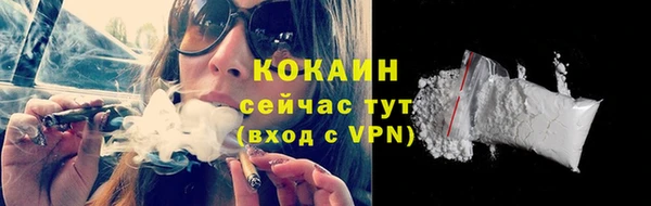 не бодяженный Бородино