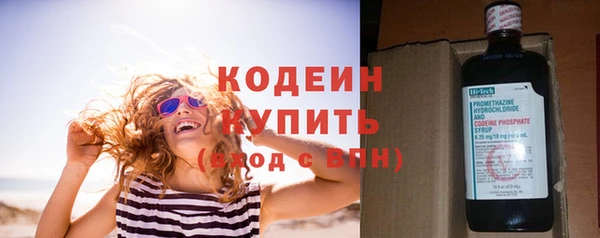 не бодяженный Бородино